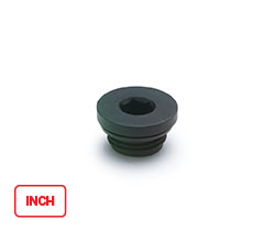 TCE. (inch sizes)-Oil plugs